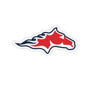 Horse Head Sticker